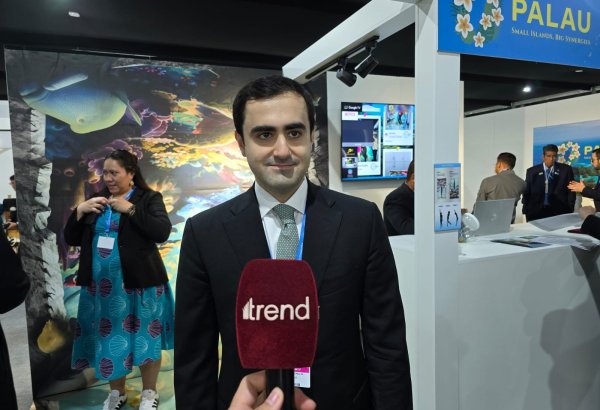 COP for Hope: Страны должны внедрить тему изменения климата в свои программы образования - Гасан Гасанлы