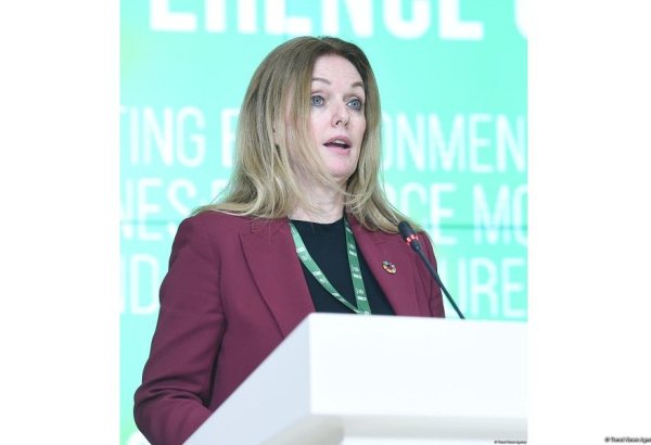 Партнерство ANAMA и Программы развития ООН - яркий пример сотрудничества - помощник генсека