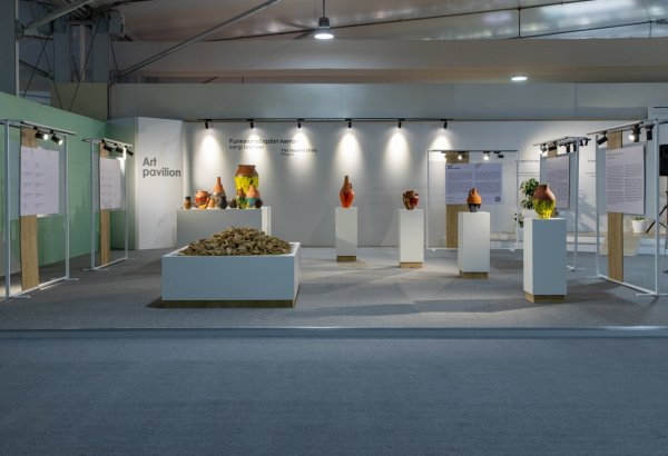 В рамках COP29 организованы выставка и симпозиум в презентации YARAT
(ФОТО)