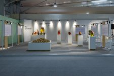 В рамках COP29 организованы выставка и симпозиум в презентации YARAT
(ФОТО)