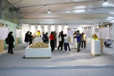 В рамках COP29 организованы выставка и симпозиум в презентации YARAT
(ФОТО)