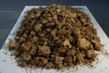 В рамках COP29 организованы выставка и симпозиум в презентации YARAT
(ФОТО)