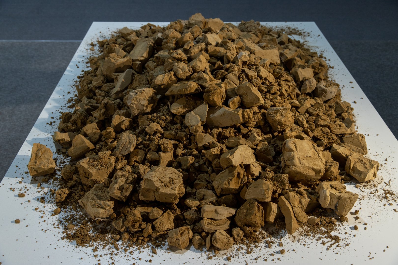 В рамках COP29 организованы выставка и симпозиум в презентации YARAT
(ФОТО)