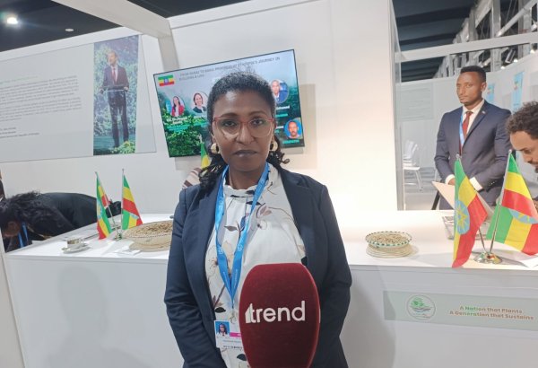 Вопрос финансирования борьбы с изменением климата на COP29 окажет поддержку африканским странам – представительница Эфиопии