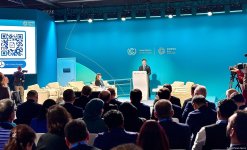 В рамках COP29 было обсуждено вложение инвестиций в человеческое развитие ради климатически устойчивого будущего (ФОТО)