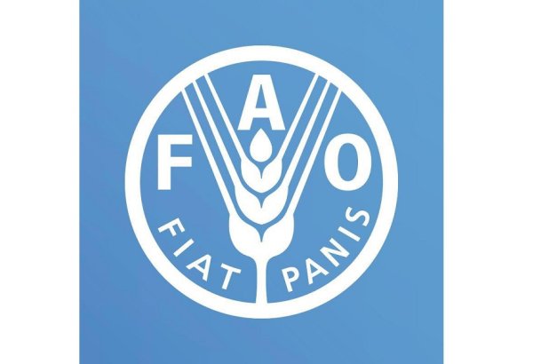 ФАО раскрыла стратегию внедрения ВИЭ в аграрном секторе Узбекистана (Эксклюзив)