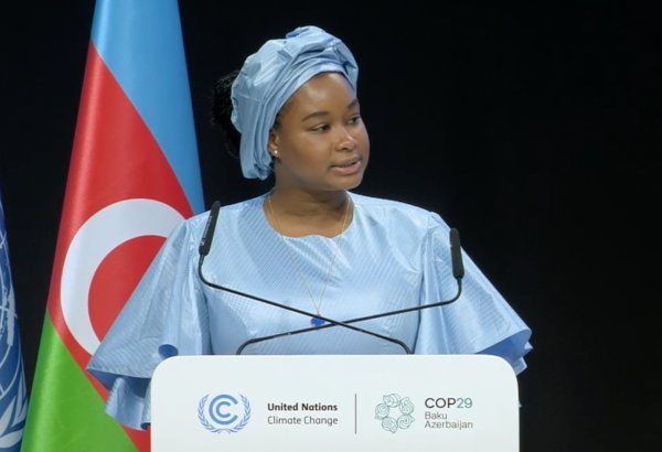 Гвинея планирует достичь 80% производства ВИЭ к 2030 году - министр