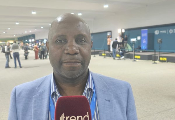 COP for Hope: Надеемся на получение желаемых результатов на COP29 - представитель Африканского союза