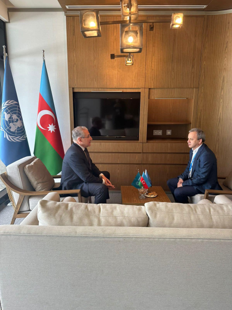 Президент Международной шахматной федерации прибыл в Баку (ФОТО)