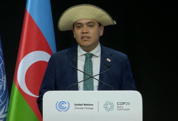 Промышленные страны неспособны выполнить свои обещания по борьбе с климатическим кризисом - представитель Панамы