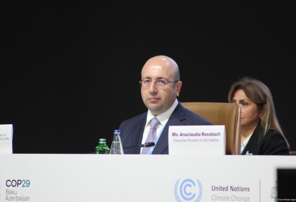 В Азербайджане пройдут Всемирный форум городского развития и Всемирный день окружающей среды - Анар Гулиев