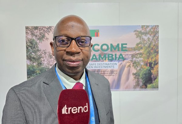 COP for Hope: Все партнеры должны объединиться и вместе решить проблему изменения климата - официальный представитель Замбии