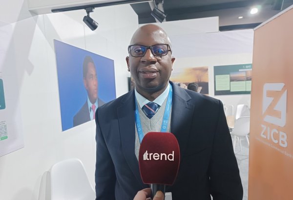 Надо помочь тем странам, которые испытывают серьезные проблемы из-за изменения климата – представитель Замбии на COP29