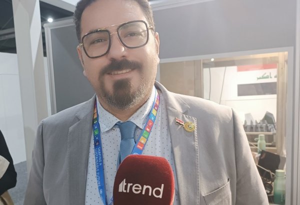 В Азербайджане настоящий рай - представитель Египта на COP29