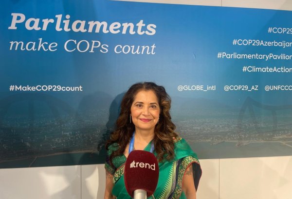 COP for Hope: На COP29 ожидается прорыв в климатической дипломатии — главный исполнительный директор GLOBE (Эксклюзивное интервью) (ФОТО)