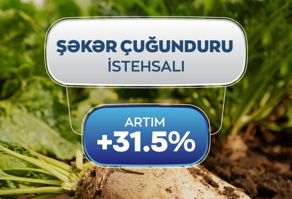 В Азербайджане зафиксирован рост сбора сахарной свеклы