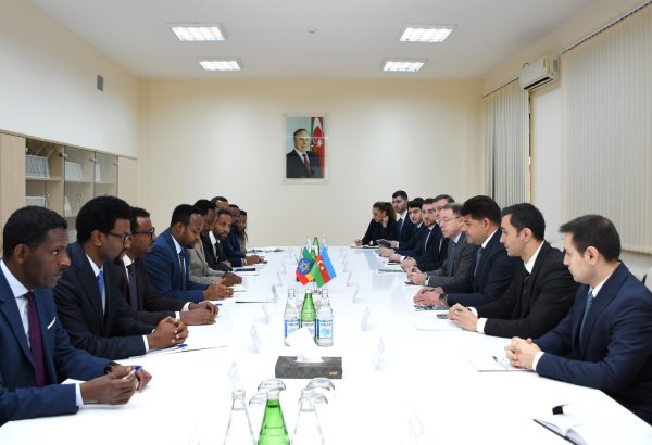 Азербайджан и Эфиопия обсудили сотрудничество в области промышленных зон