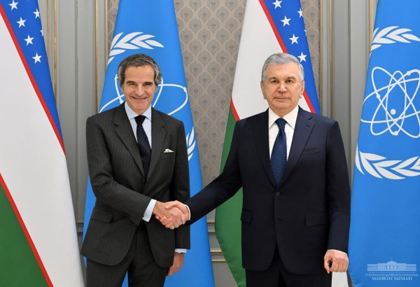 Узбекистан и МАГАТЭ договорились о принятии дорожной карты расширения сотрудничества в развитии мирного атома