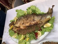 В Лянкяране проходит первый Фестиваль лявянги (ФОТО)