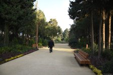 90-летний фонд природы в Баку - Фоторепортаж из Центрального ботанического сада