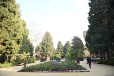 90-летний фонд природы в Баку - Фоторепортаж из Центрального ботанического сада