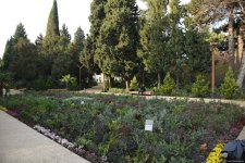 90-летний фонд природы в Баку - Фоторепортаж из Центрального ботанического сада