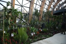 90-летний фонд природы в Баку - Фоторепортаж из Центрального ботанического сада