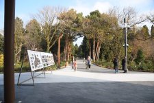 90-летний фонд природы в Баку - Фоторепортаж из Центрального ботанического сада