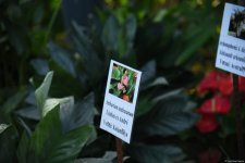 90-летний фонд природы в Баку - Фоторепортаж из Центрального ботанического сада