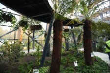 90-летний фонд природы в Баку - Фоторепортаж из Центрального ботанического сада