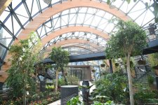 90-летний фонд природы в Баку - Фоторепортаж из Центрального ботанического сада