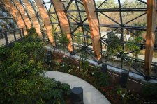 90-летний фонд природы в Баку - Фоторепортаж из Центрального ботанического сада