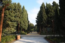 90-летний фонд природы в Баку - Фоторепортаж из Центрального ботанического сада