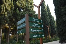 90-летний фонд природы в Баку - Фоторепортаж из Центрального ботанического сада