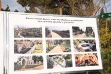 90-летний фонд природы в Баку - Фоторепортаж из Центрального ботанического сада