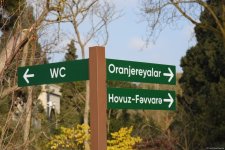 90-летний фонд природы в Баку - Фоторепортаж из Центрального ботанического сада