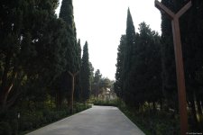 90-летний фонд природы в Баку - Фоторепортаж из Центрального ботанического сада