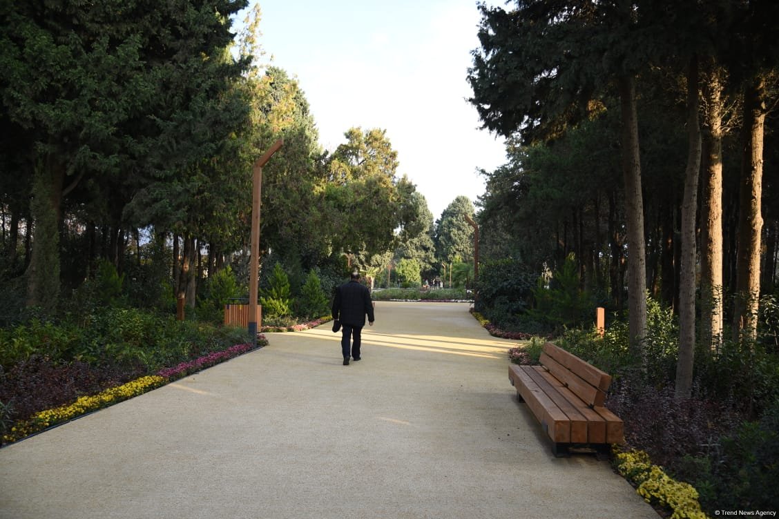 90-летний фонд природы в Баку - Фоторепортаж из Центрального ботанического сада