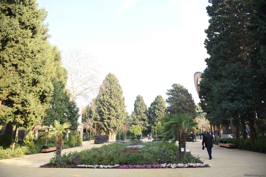 90-летний фонд природы в Баку - Фоторепортаж из Центрального ботанического сада