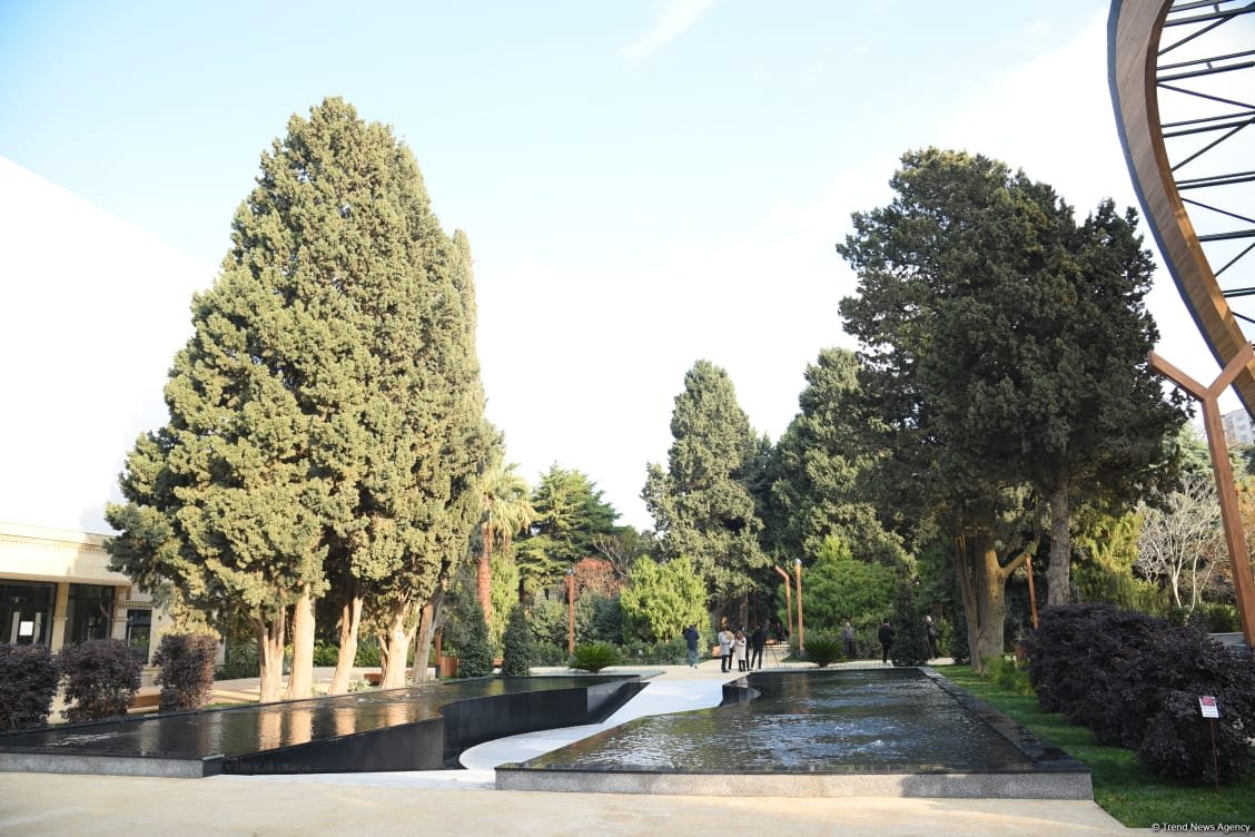 90-летний фонд природы в Баку - Фоторепортаж из Центрального ботанического сада