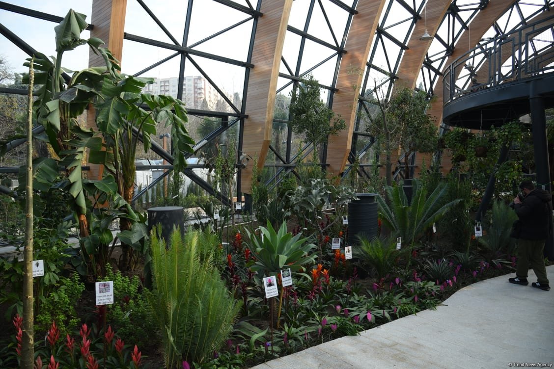 90-летний фонд природы в Баку - Фоторепортаж из Центрального ботанического сада