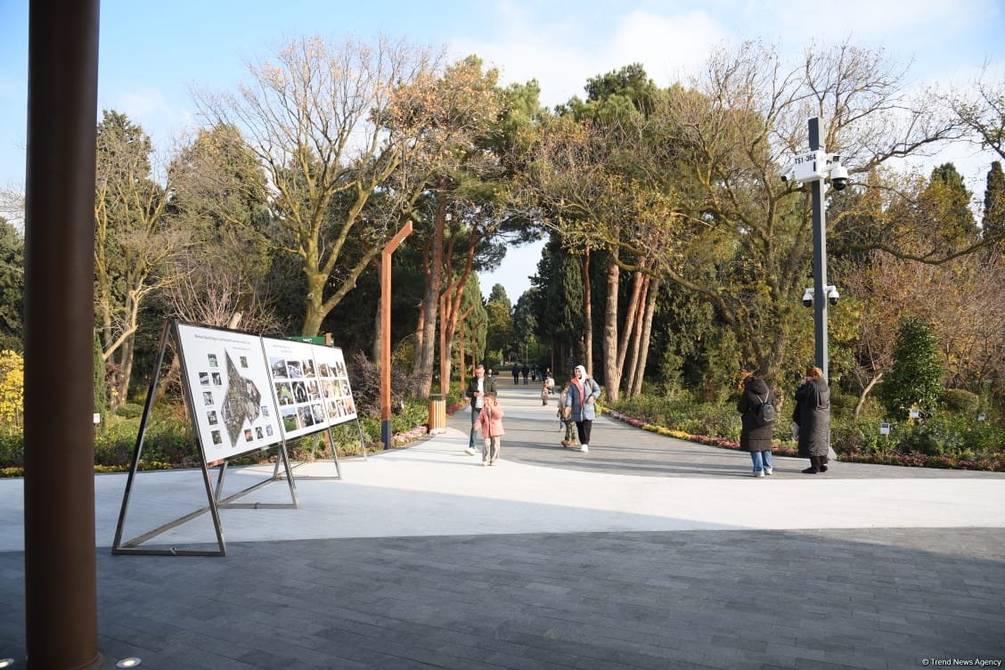 90-летний фонд природы в Баку - Фоторепортаж из Центрального ботанического сада