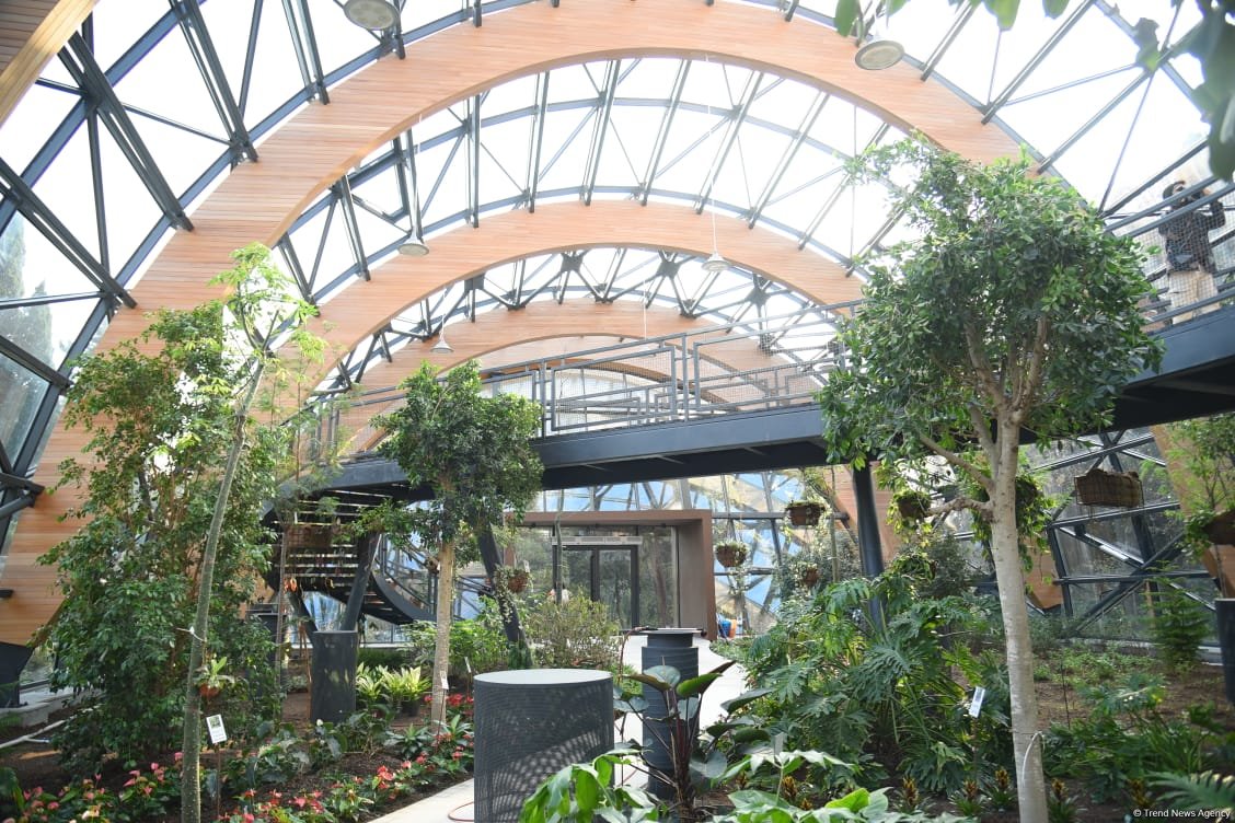 90-летний фонд природы в Баку - Фоторепортаж из Центрального ботанического сада
