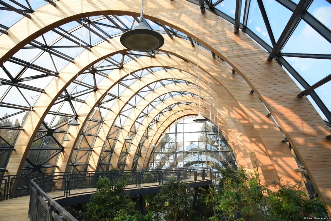 90-летний фонд природы в Баку - Фоторепортаж из Центрального ботанического сада