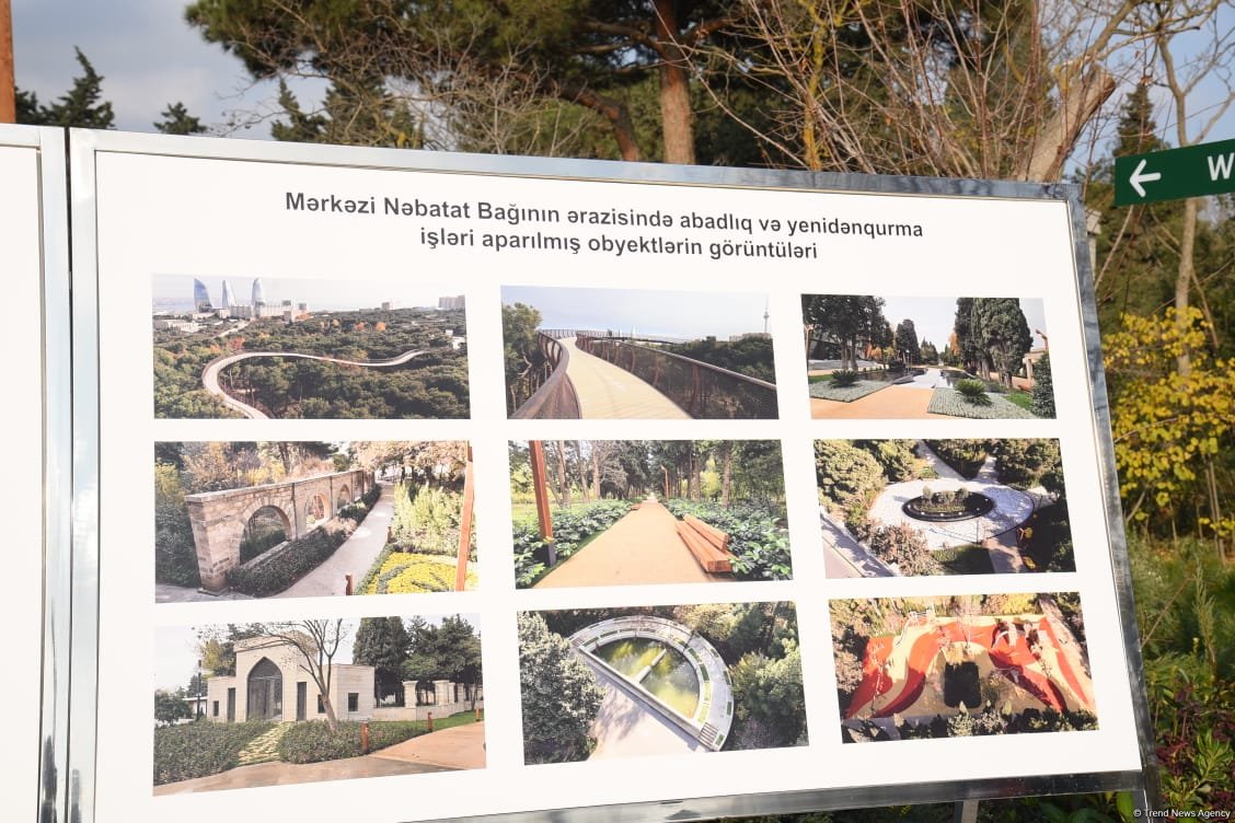 90-летний фонд природы в Баку - Фоторепортаж из Центрального ботанического сада