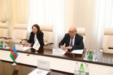 Обсуждено сотрудничество между минздравом Азербайджана и Глобальным фондом (ФОТО)