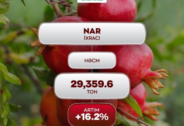 Назван объем экспорта граната из Азербайджана на зарубежные рынки