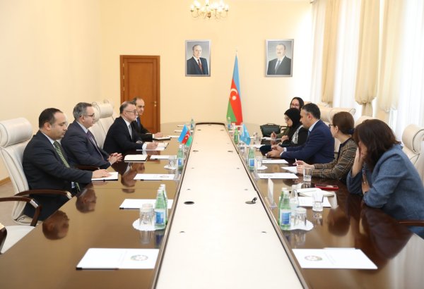 Обсуждено сотрудничество между минздравом Азербайджана и ЮНИСЕФ (ФОТО)