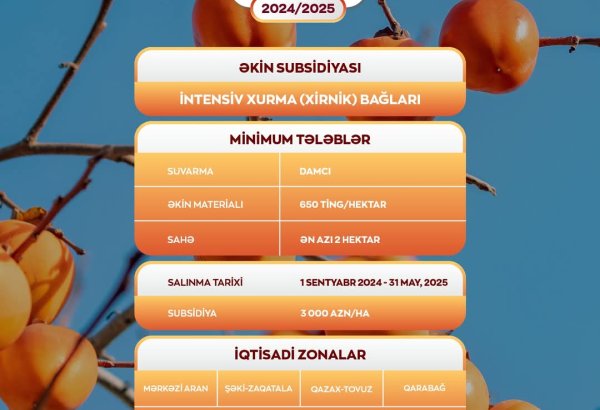 За каждый гектар садов хурмы фермерам в Азербайджане будет выплачена единовременная субсидия