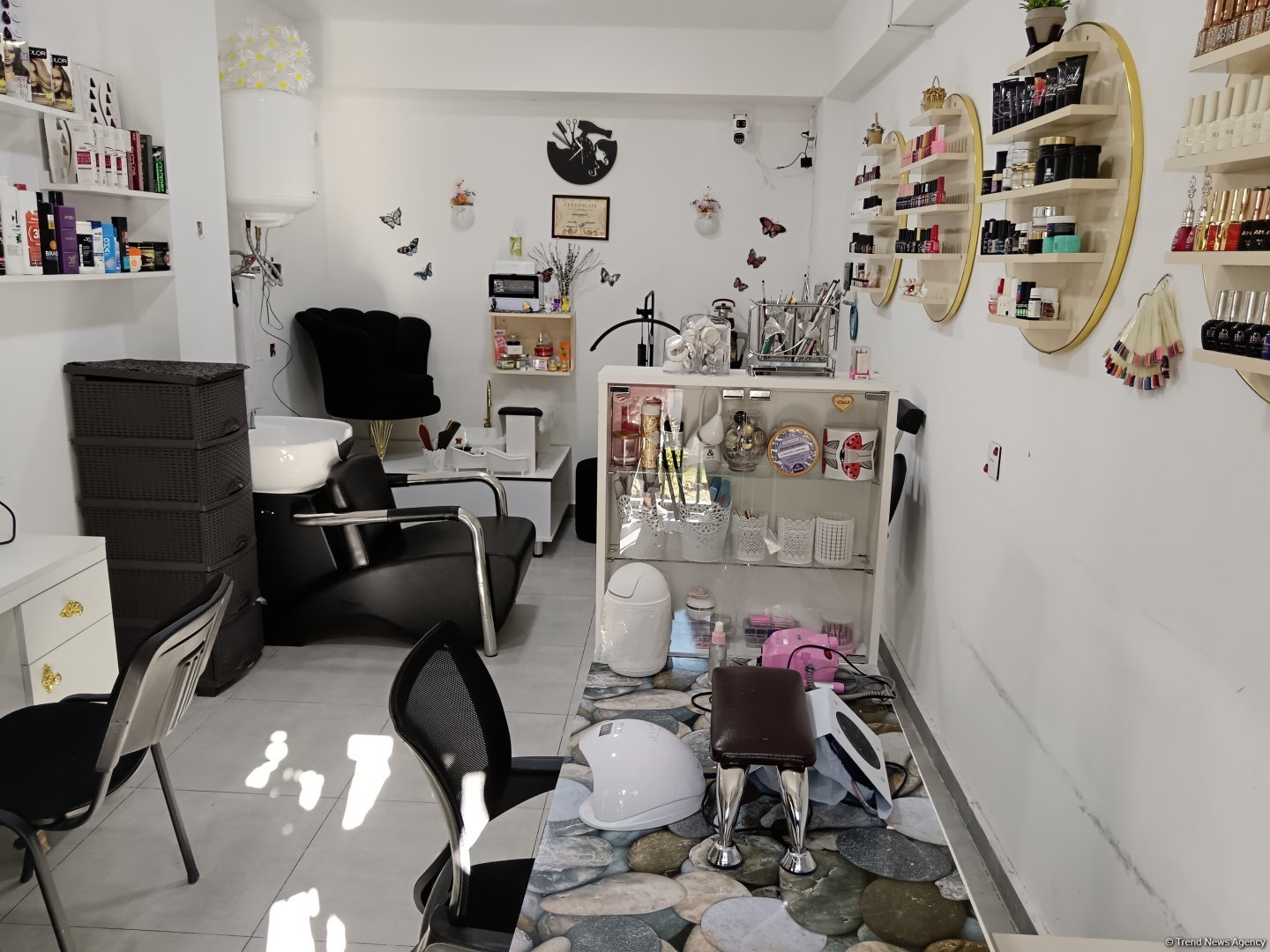 Организован медиатур по объектам, созданным в рамках программы самозанятости в Физули (ФОТО)